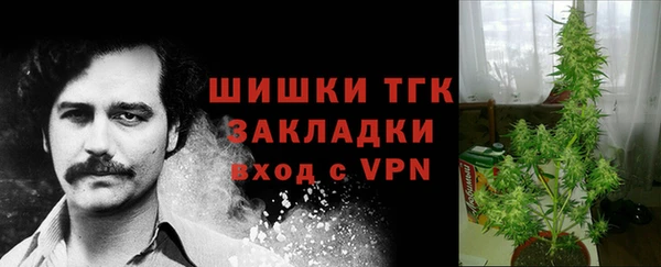 стафф Дмитриев