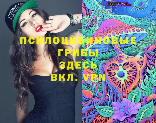 эйфоретик Дмитров