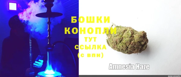 стафф Дмитриев