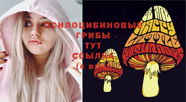 стафф Дмитриев