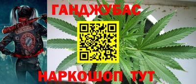 бошки Гай