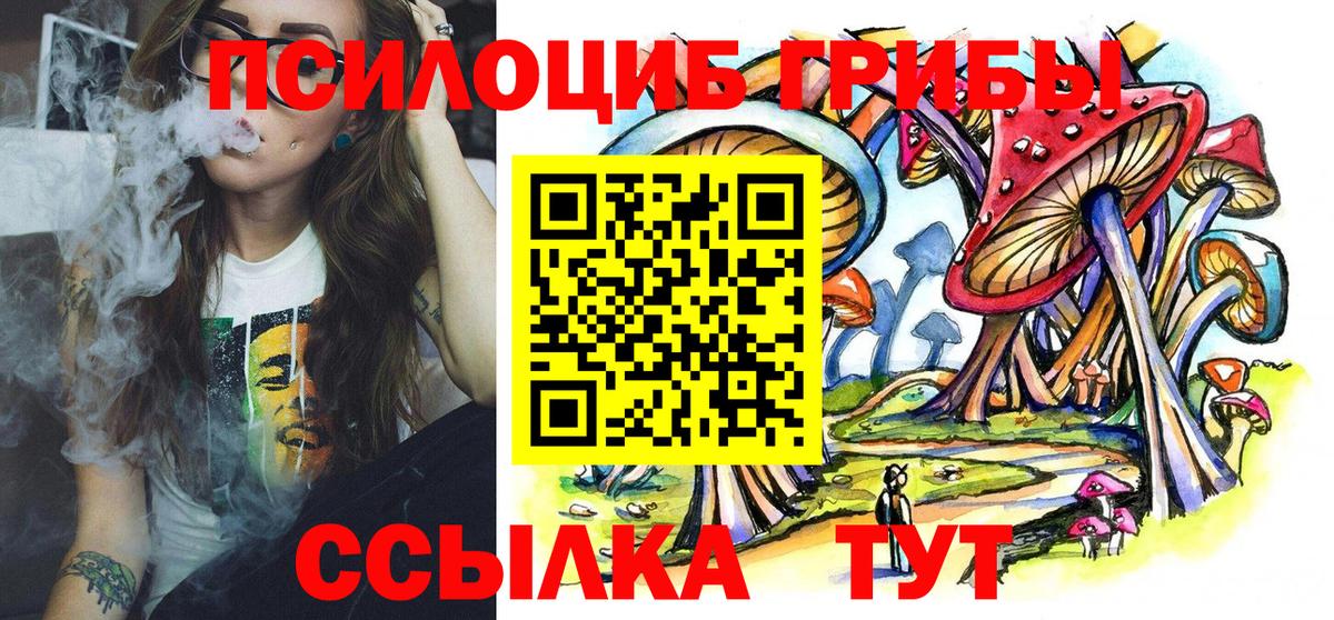 Шуя  Псилоцибиновые грибы Psilocybe  где купить наркоту  Вход с VPN 
