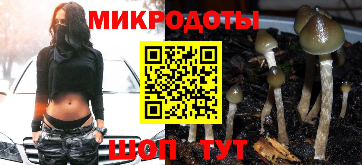 Галлюциногенные грибы GOLDEN TEACHER Шуя