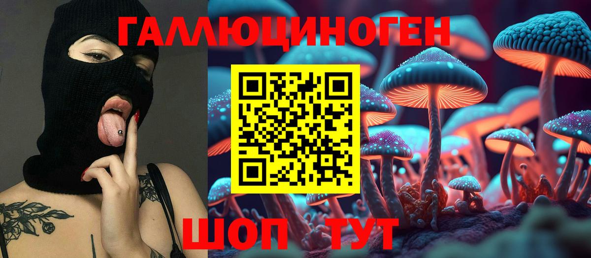 Галлюциногенные грибы Psilocybe Шуя