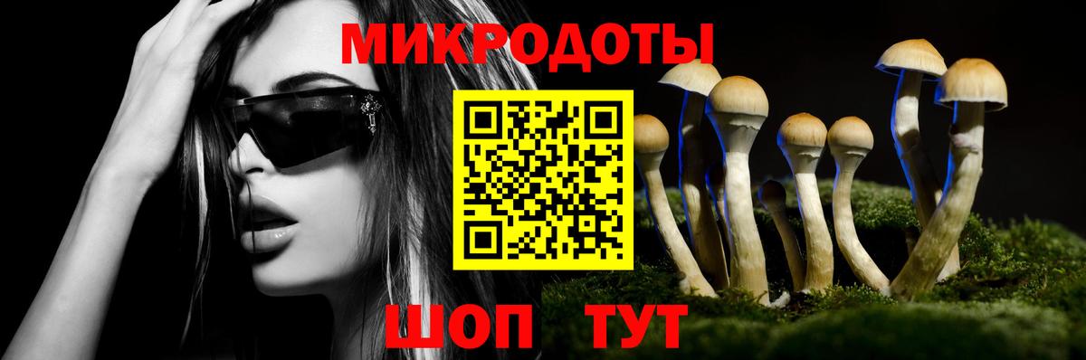 Галлюциногенные грибы мицелий  сколько стоит  Шуя 